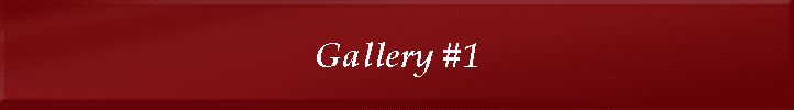 Gallery #1