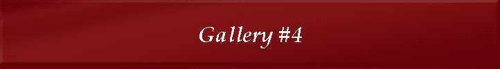 Gallery #4