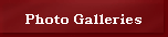 Photo Galleries